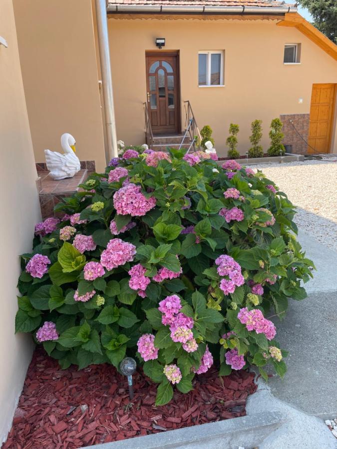 Toerpi Apartman Halmaj Bagian luar foto
